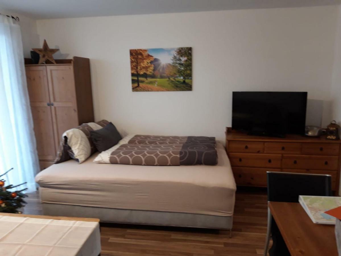 Apartment Kendlbacher Zell am See Ngoại thất bức ảnh